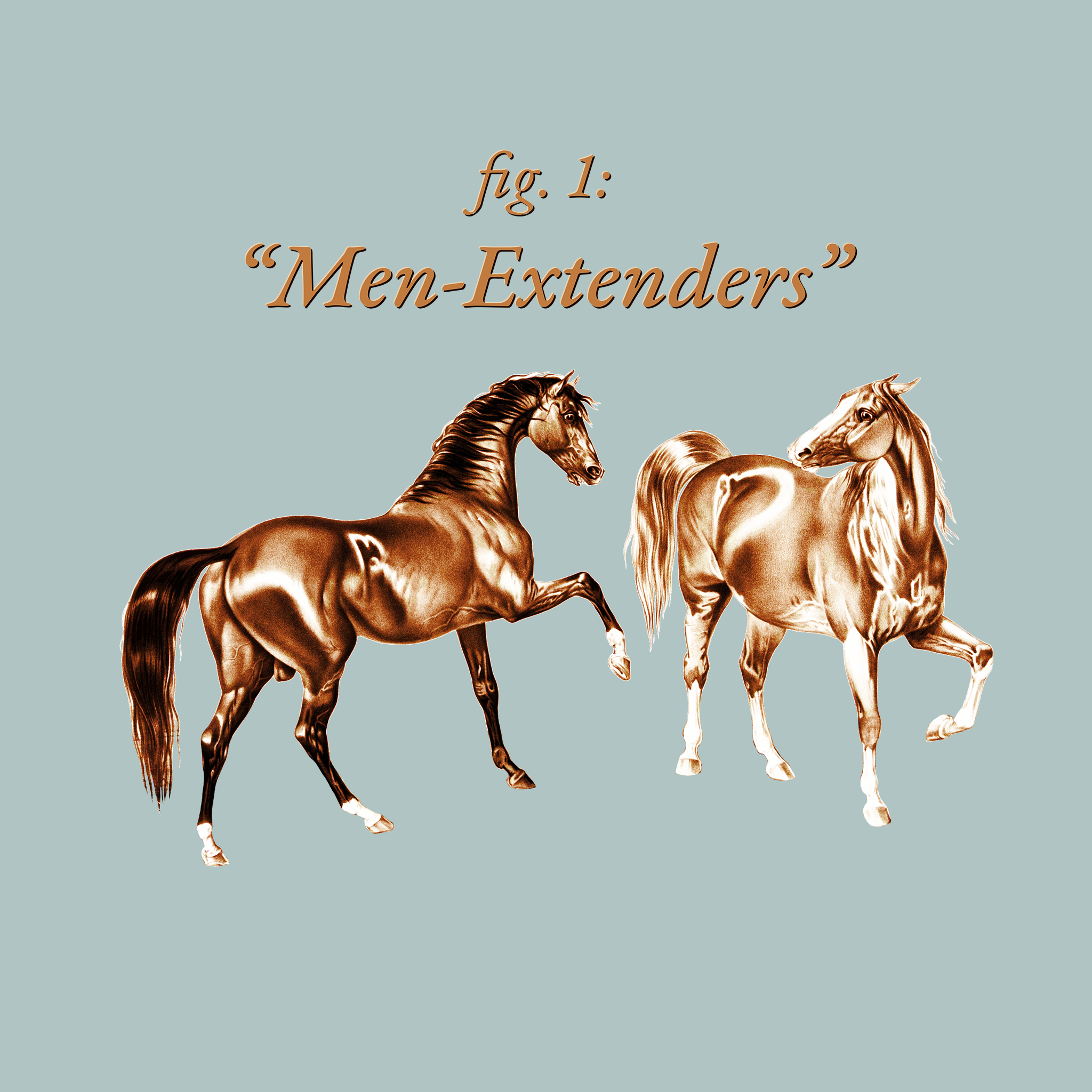 Men-Extenders Tee