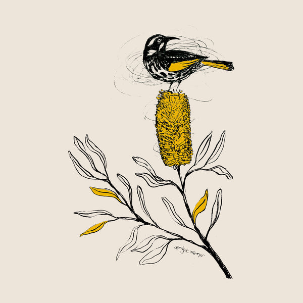 New Holland Honeyeater Tee