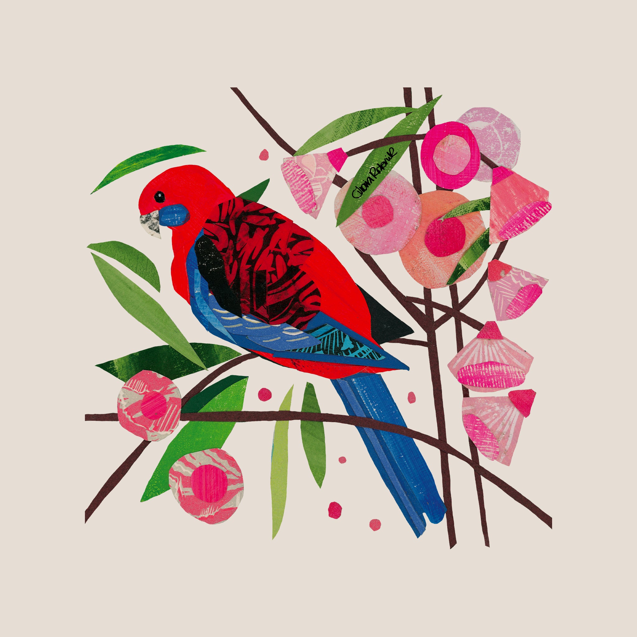 Paper Crimson Rosella Tote