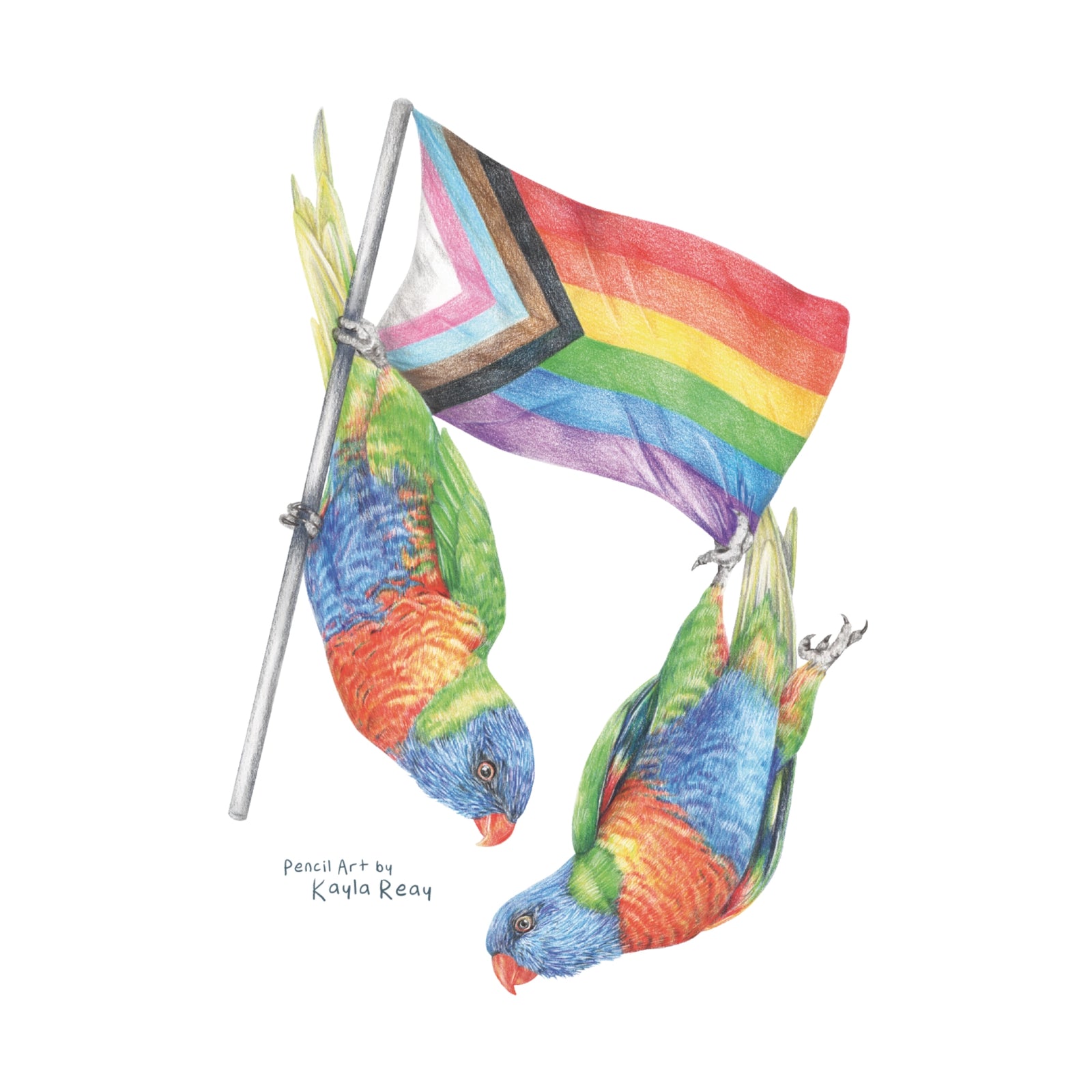 Pride Flag & Lorikeets Tee