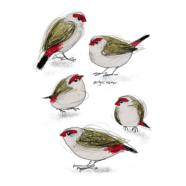 Red Browed Finches Tee