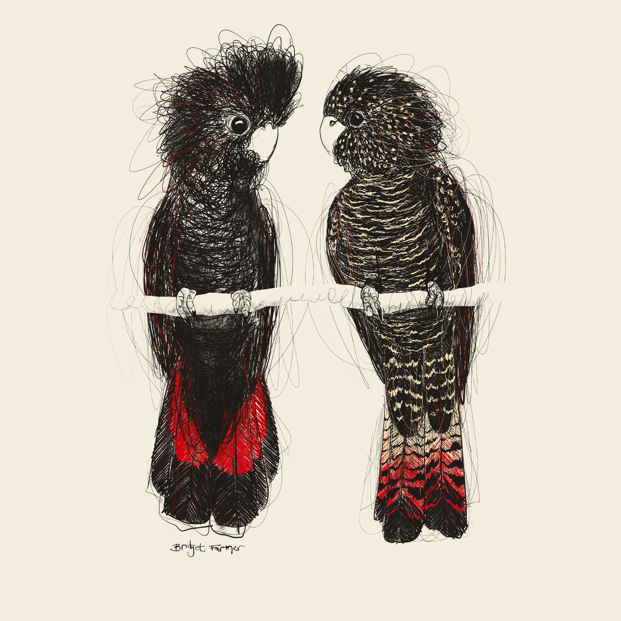 Red Tailed Black Cockatoos Jumper