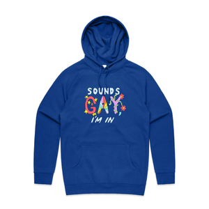 Sounds Gay Hoodie