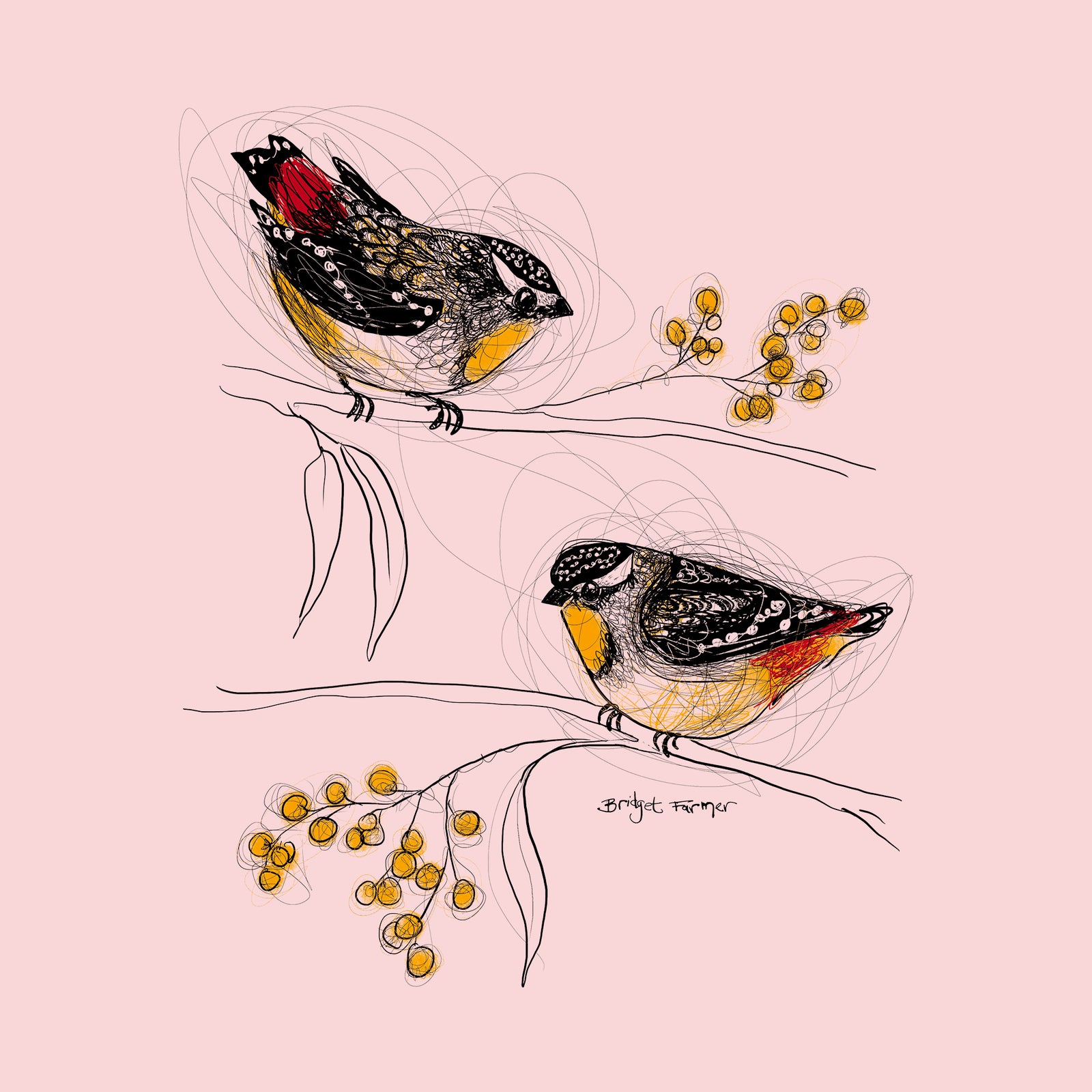 Spotted Pardalotes Jumper