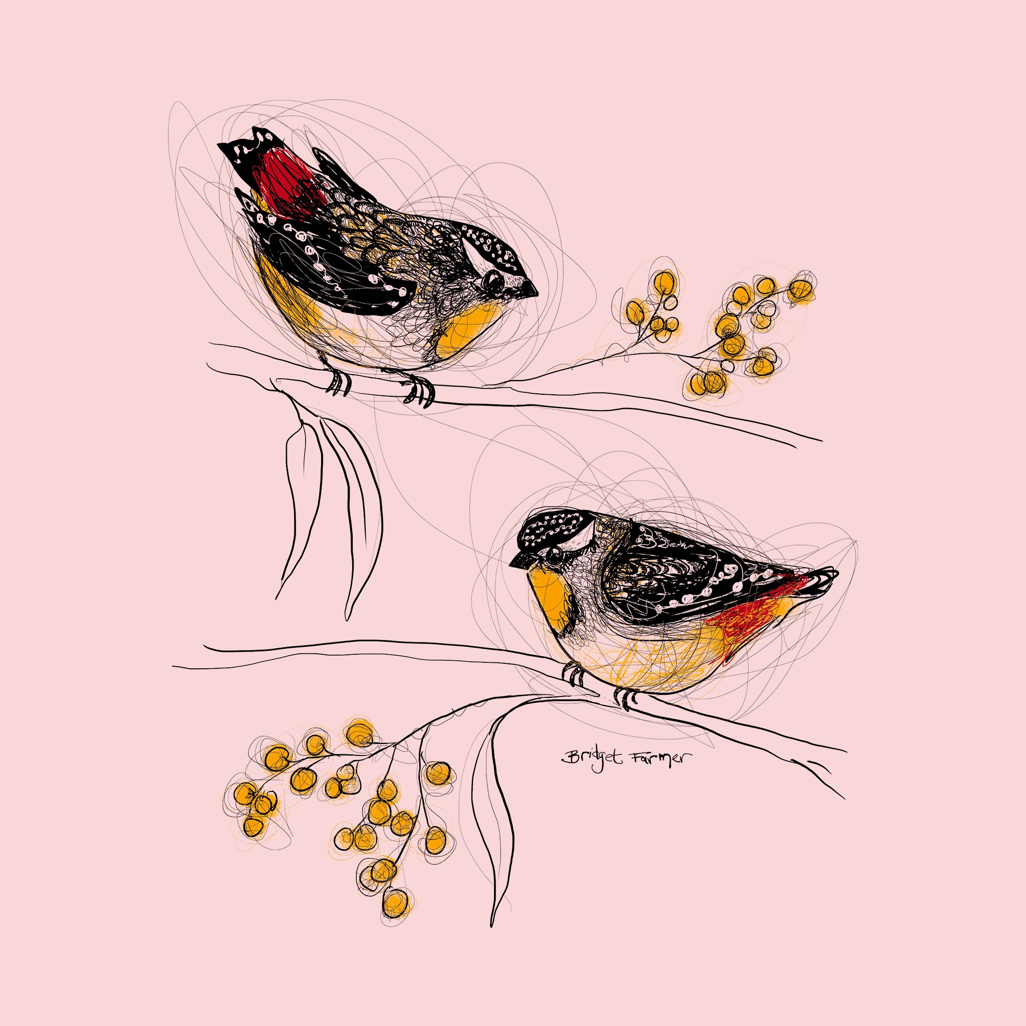 Spotted Pardalotes Jumper