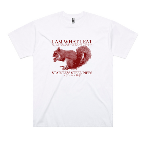 Stainless Steel Pipes Tee by Lonely Kids Club. All clothing from our T-shirts to our shorts and hoodies are ethically made, and printed packed and shipped from Sydney.
