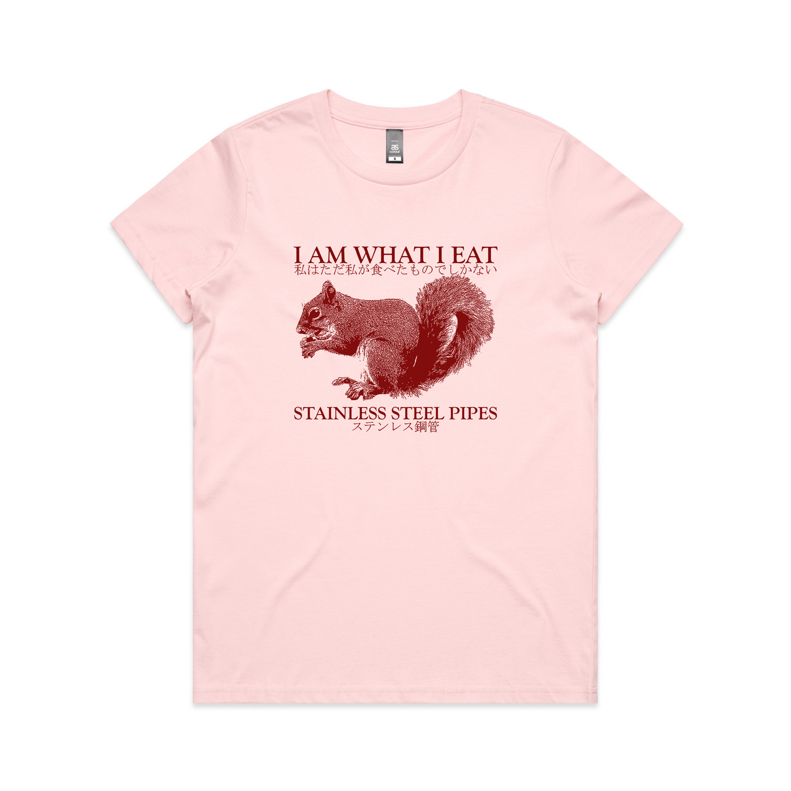 Stainless Steel Pipes Tee
