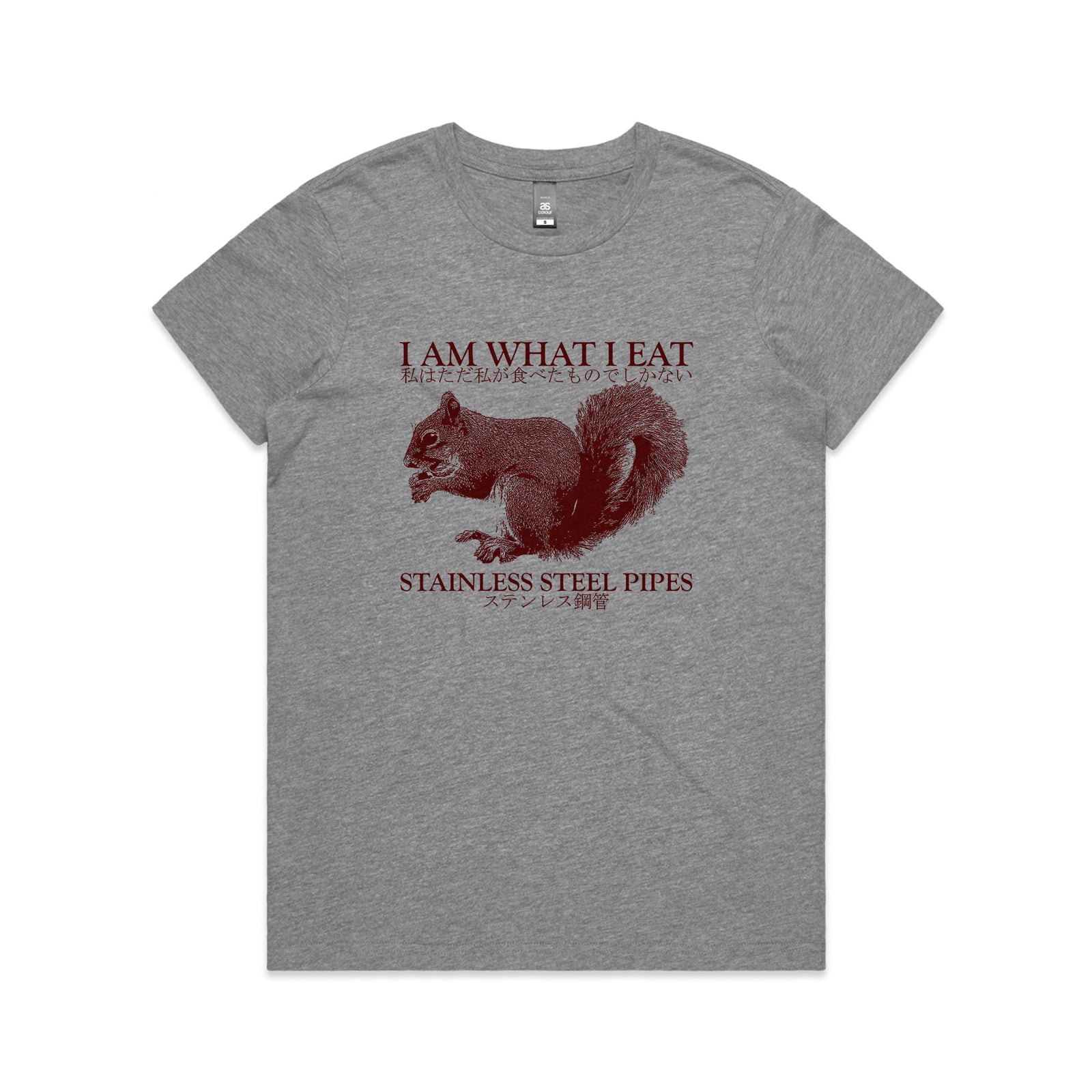 Stainless Steel Pipes Tee