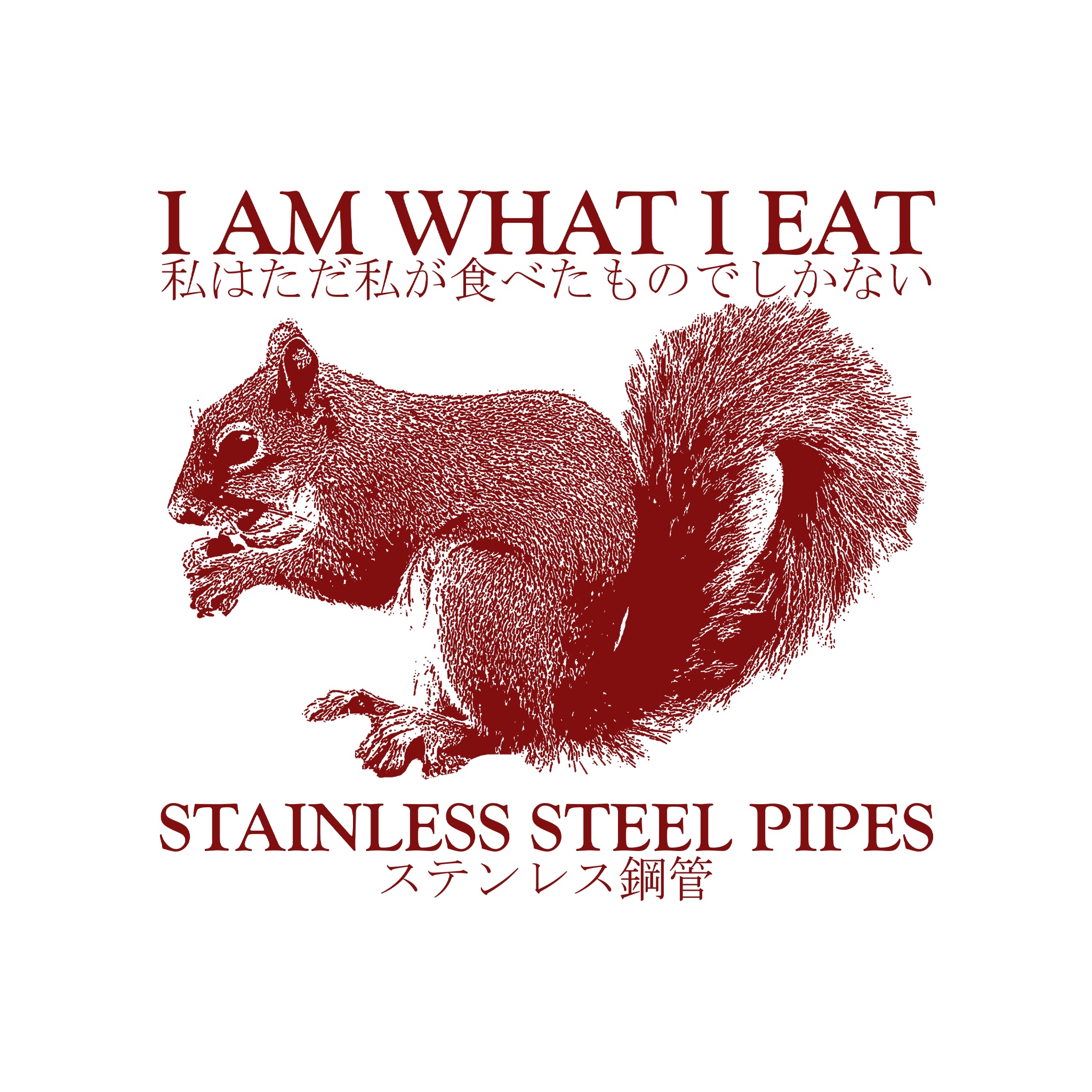 Stainless Steel Pipes Tee