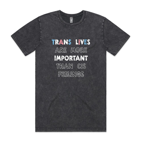 Trans Lives Tee by Lonely Kids Club. All clothing from our T-shirts to our shorts and hoodies are ethically made, and printed packed and shipped from Sydney.