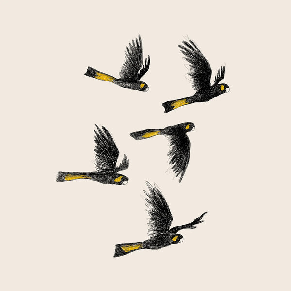 Yellow Tailed Black Cockatoos Tee