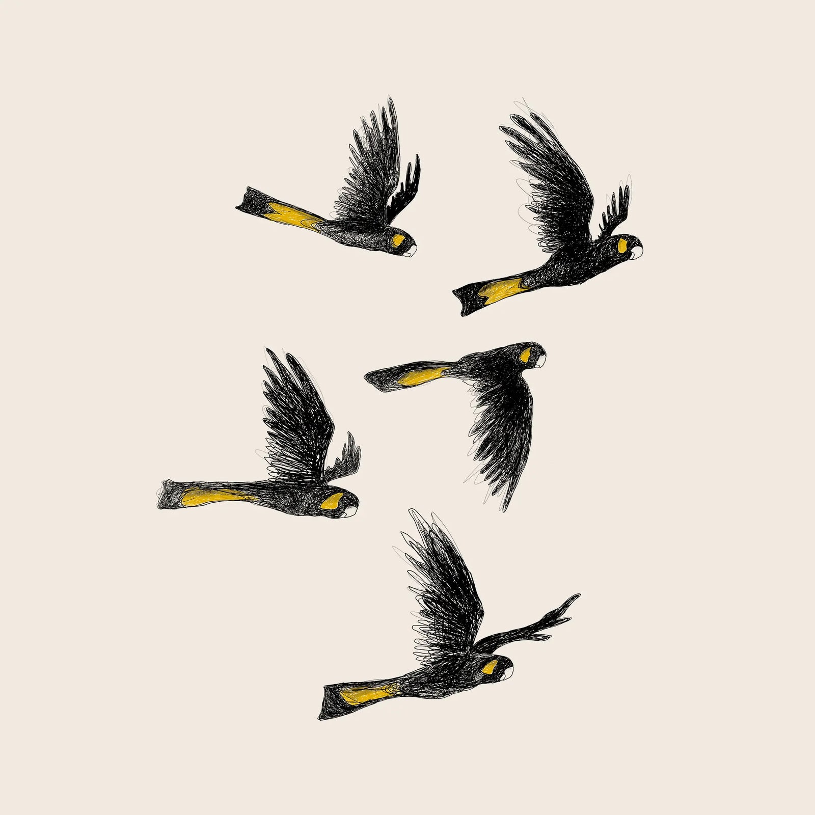 Yellow Tailed Black Cockatoos Tote