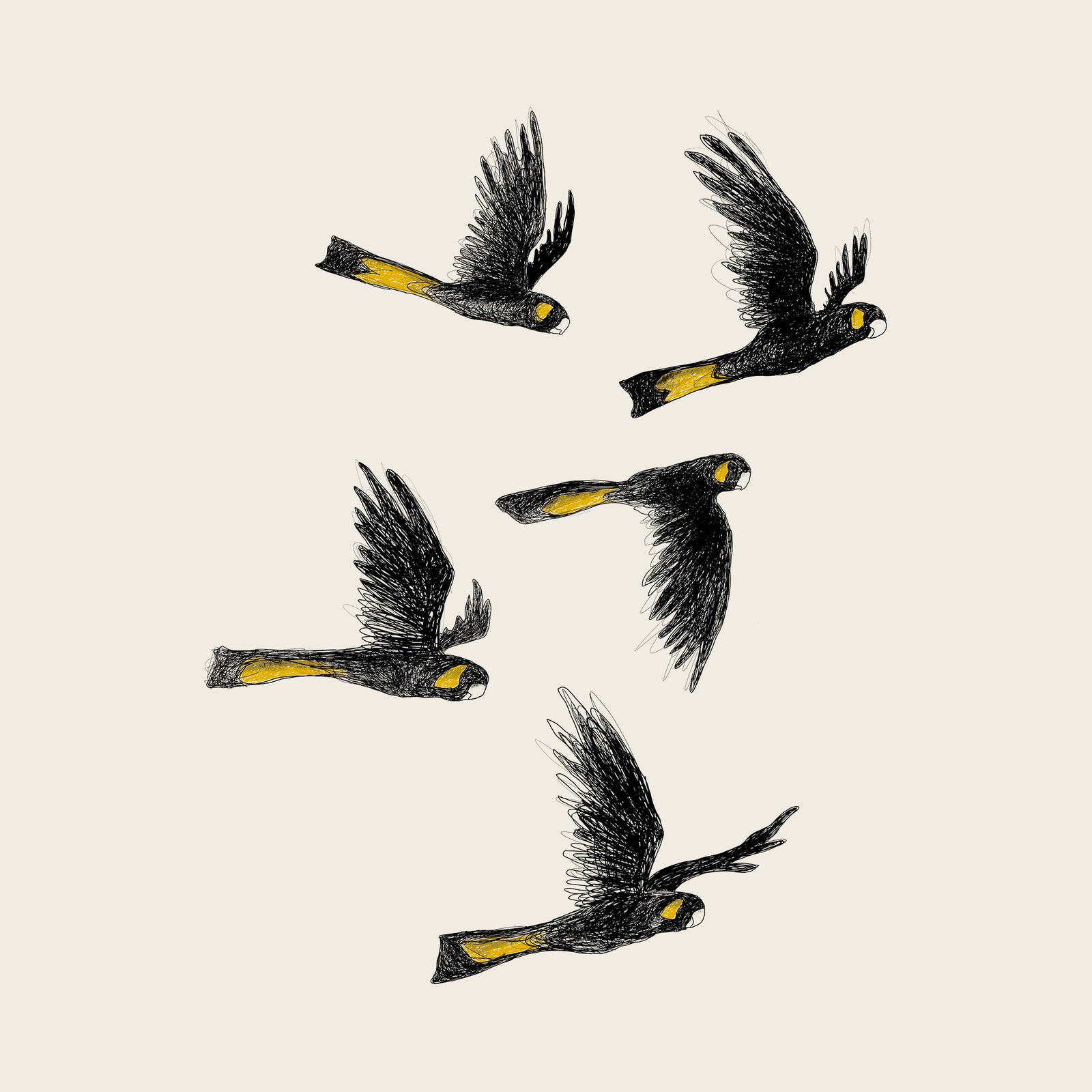 Yellow Tailed Black Cockatoos Hoodie