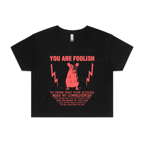 You Are Foolish Tee by Lonely Kids Club. All clothing from our T-shirts to our shorts and hoodies are ethically made, and printed packed and shipped from Sydney.