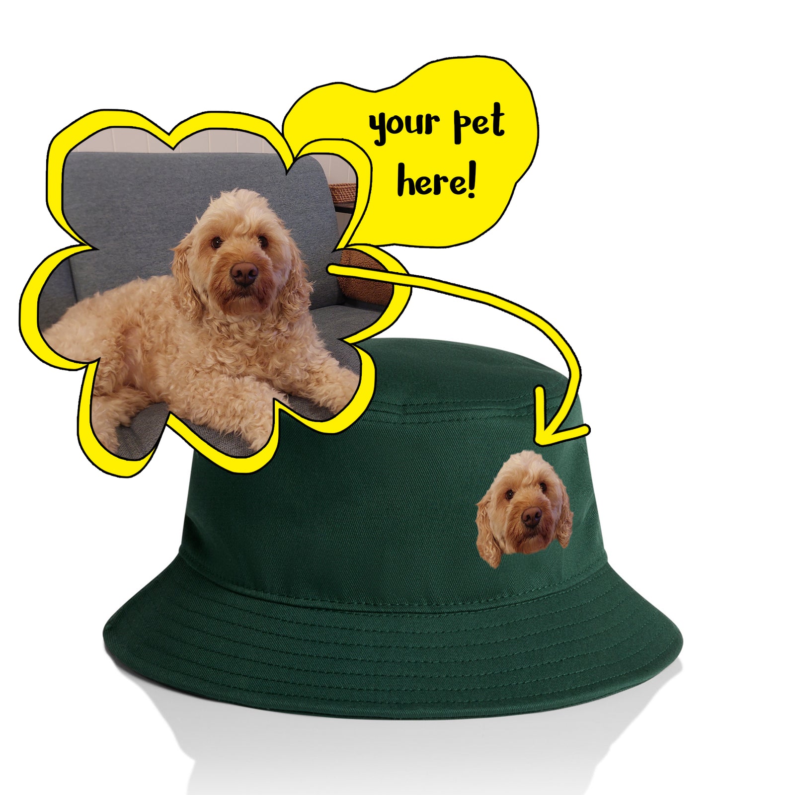 Create Your Own Pet Hat