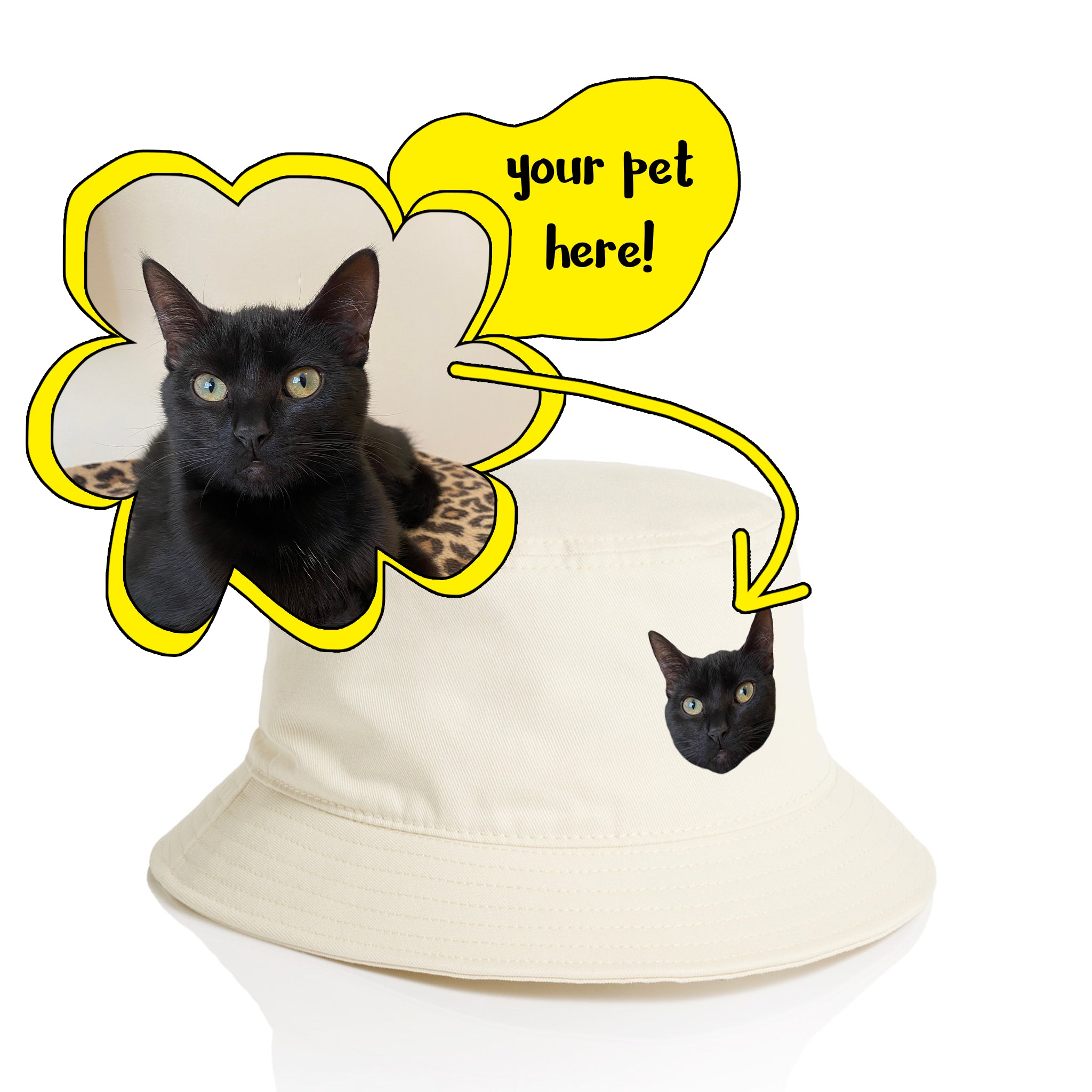 Create Your Own Pet Hat