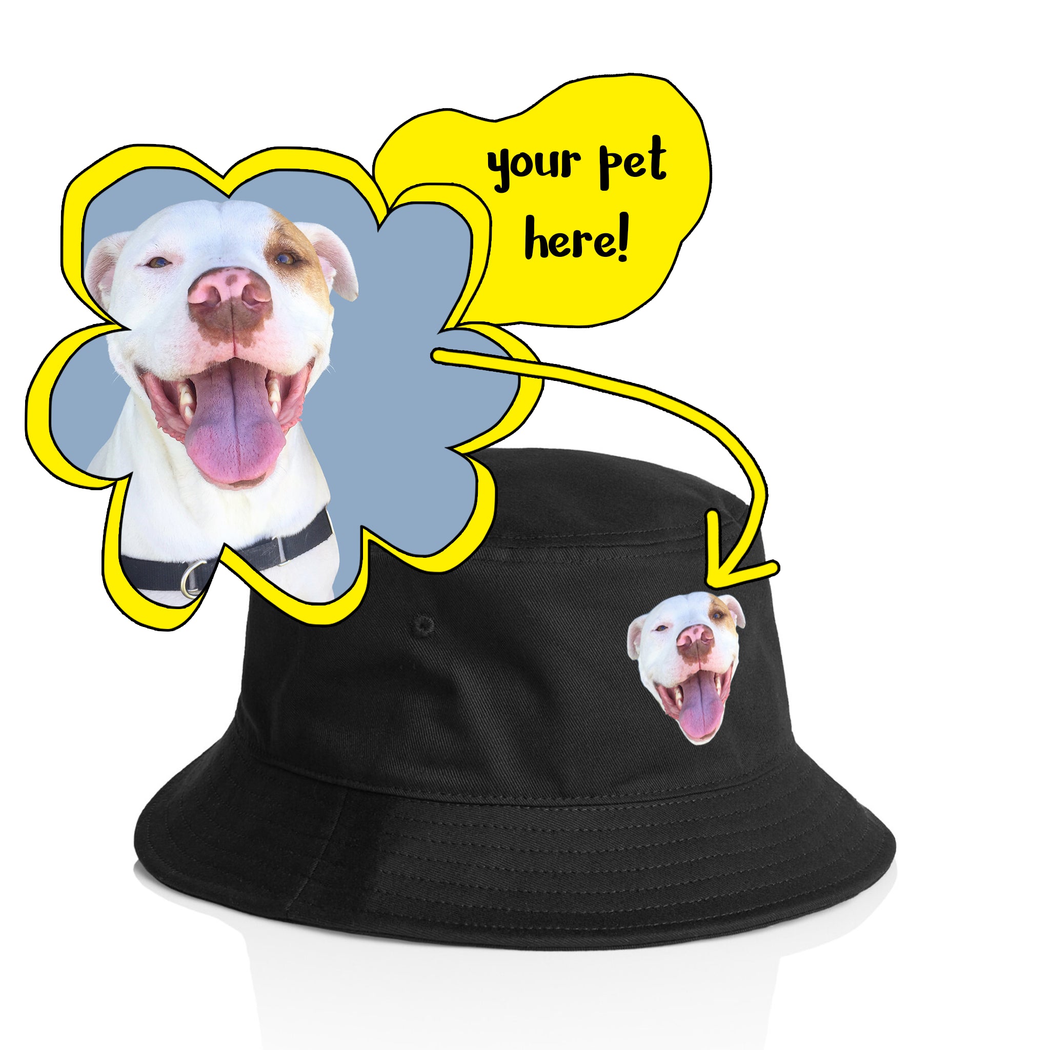 Create Your Own Pet Hat