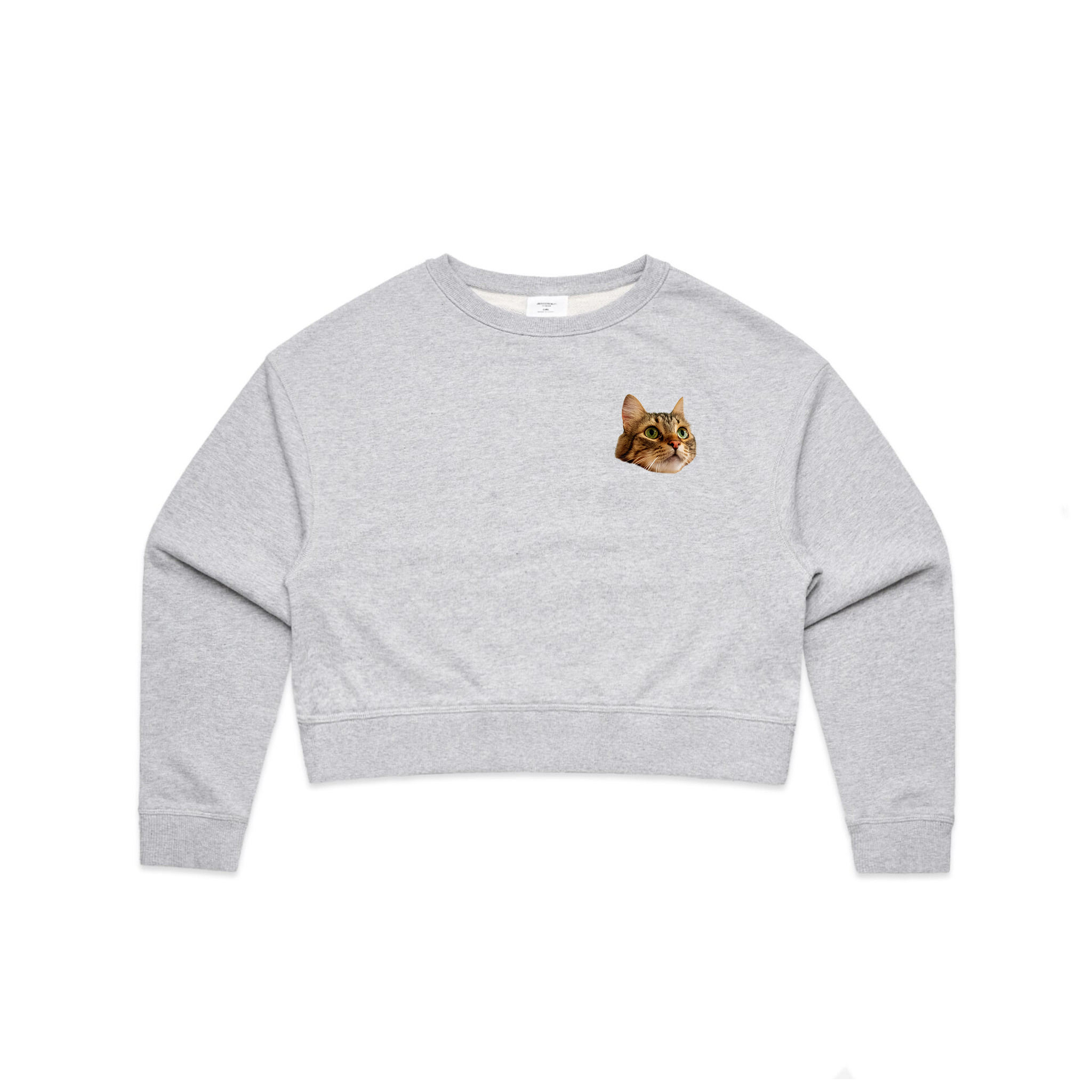 Create Your Own Pet Jumper