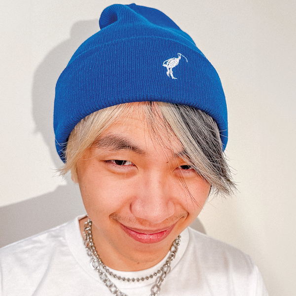 Ibis Logo Beanie