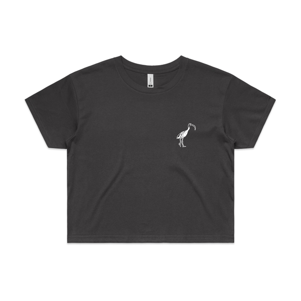 Ibis Logo Tee