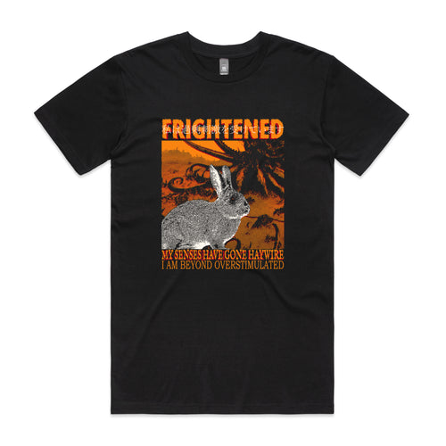 Frightened Rabbit Tee by Lonely Kids Club. All clothing from our T-shirts to our shorts and hoodies are ethically made, and printed packed and shipped from Sydney.