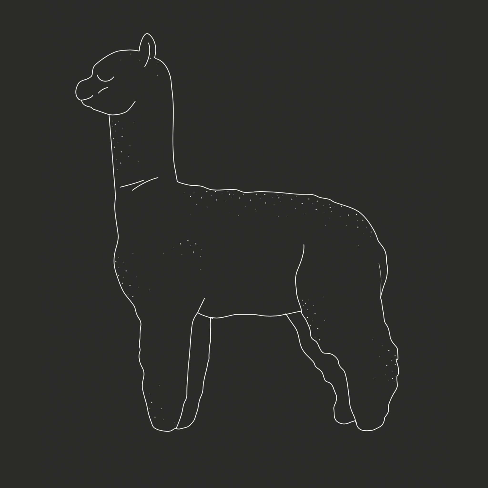 Alpaca Tee