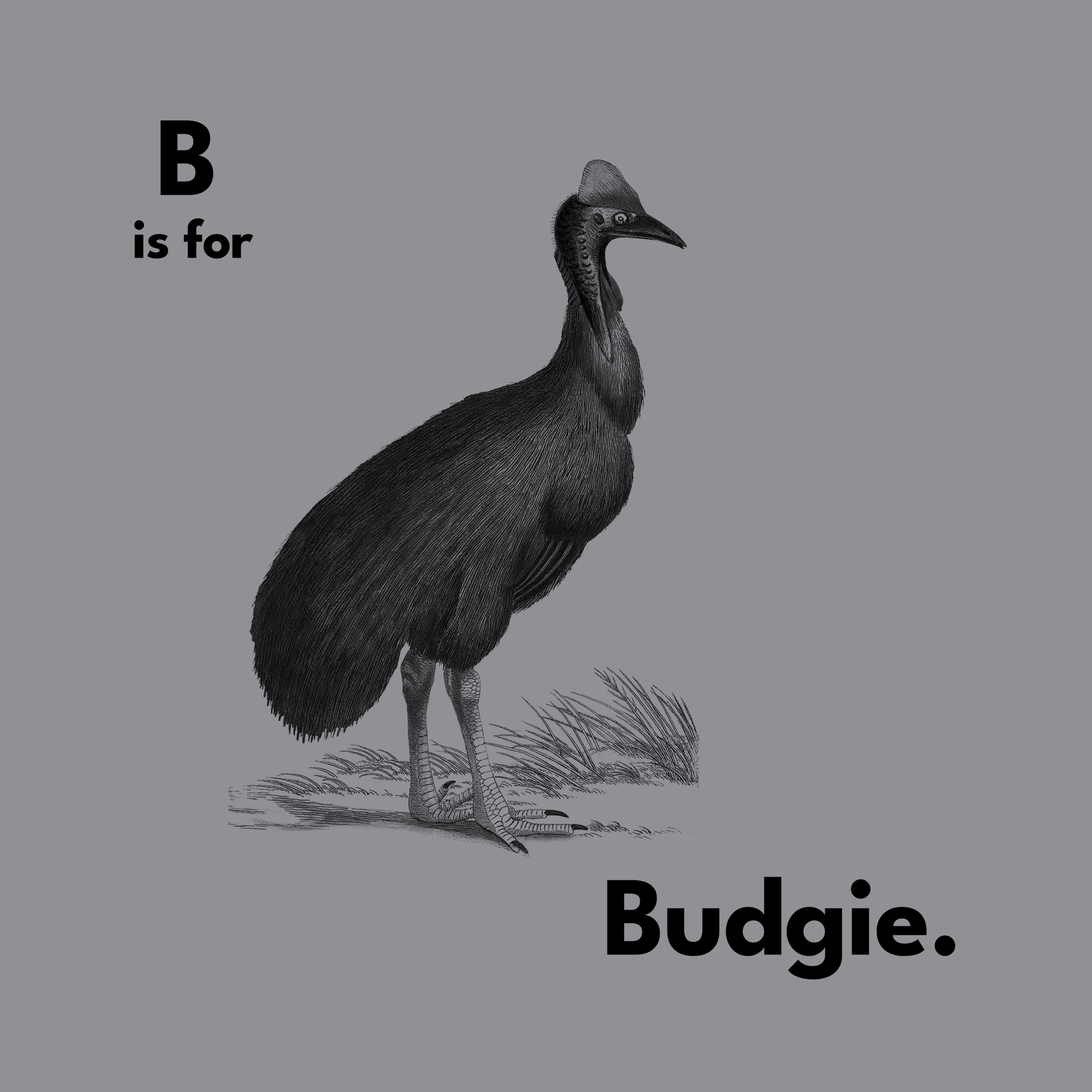 B Is For Budgie Tee