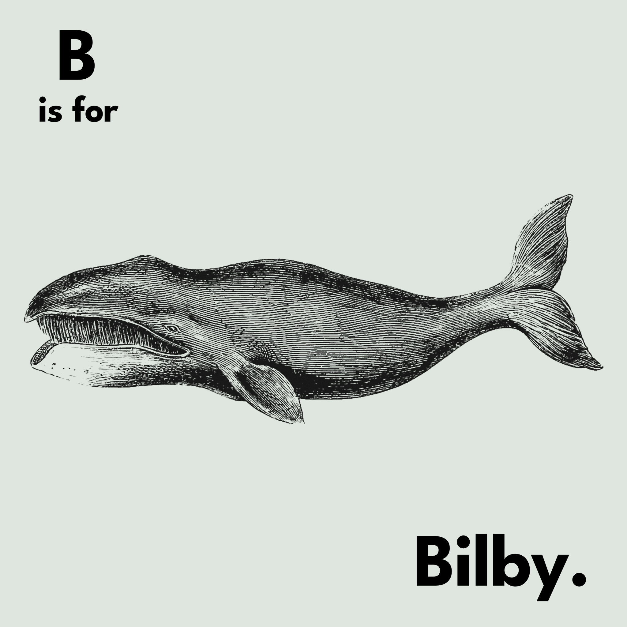 B Is For Bilby Tee