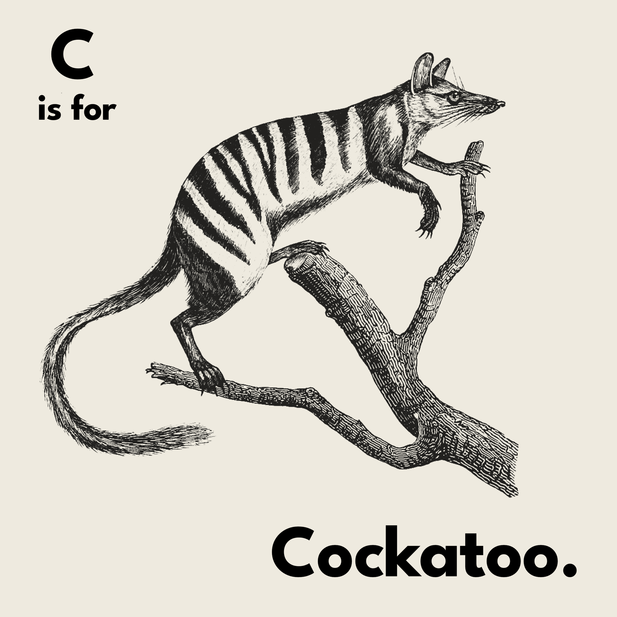 C Is For Cockatoo Tee