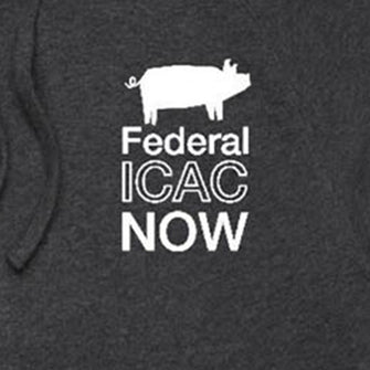 Federal ICAC Now Logo Hoodie