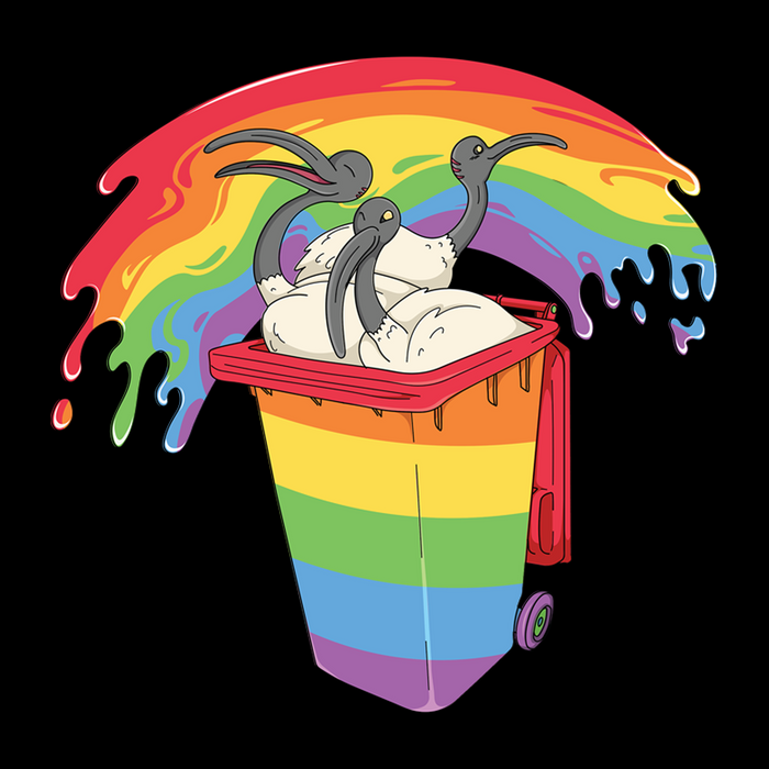 Ibis Pride Tee Ethically Made T-Shirts, Hoodies, Jumpers & More!