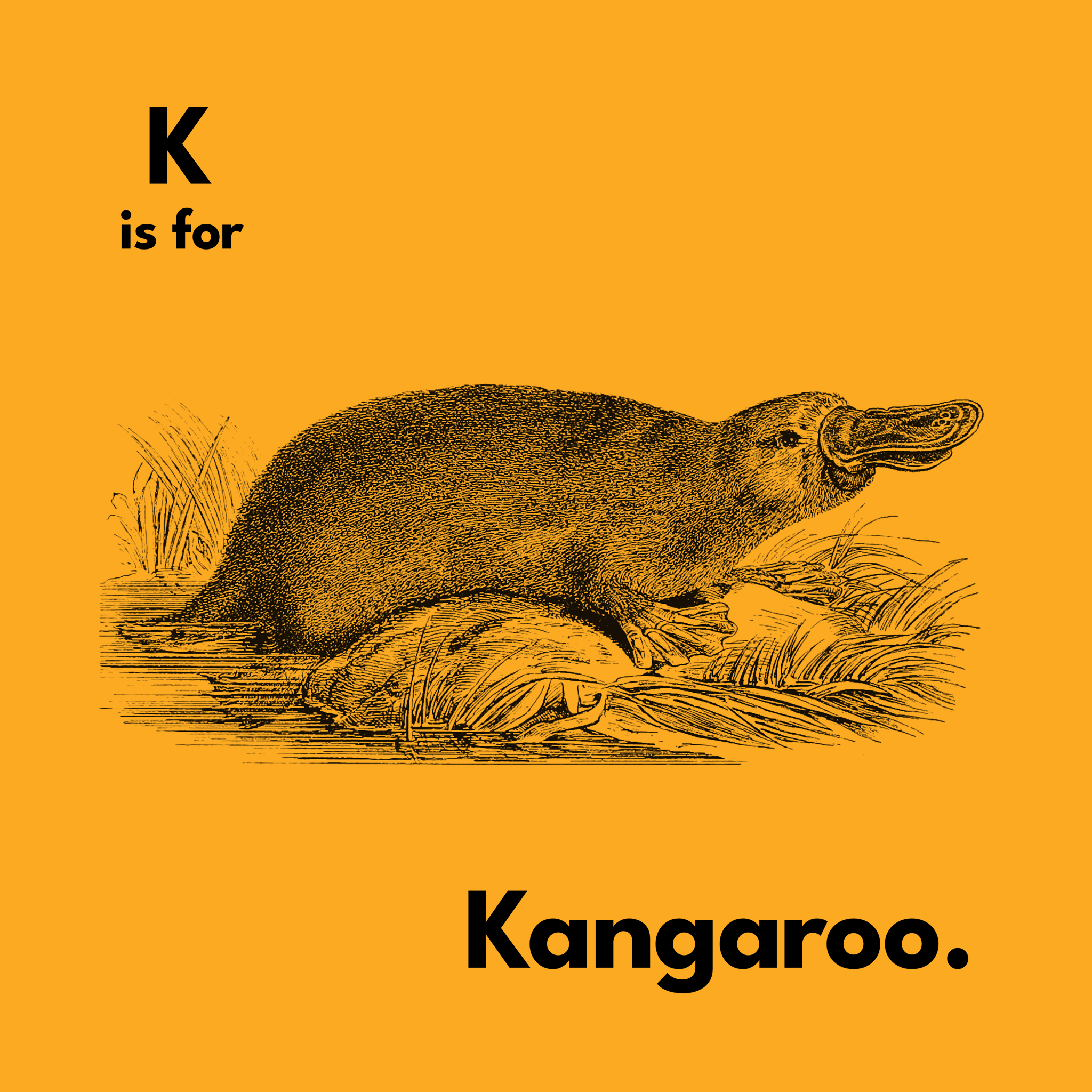 K Is For Kangaroo Jumper