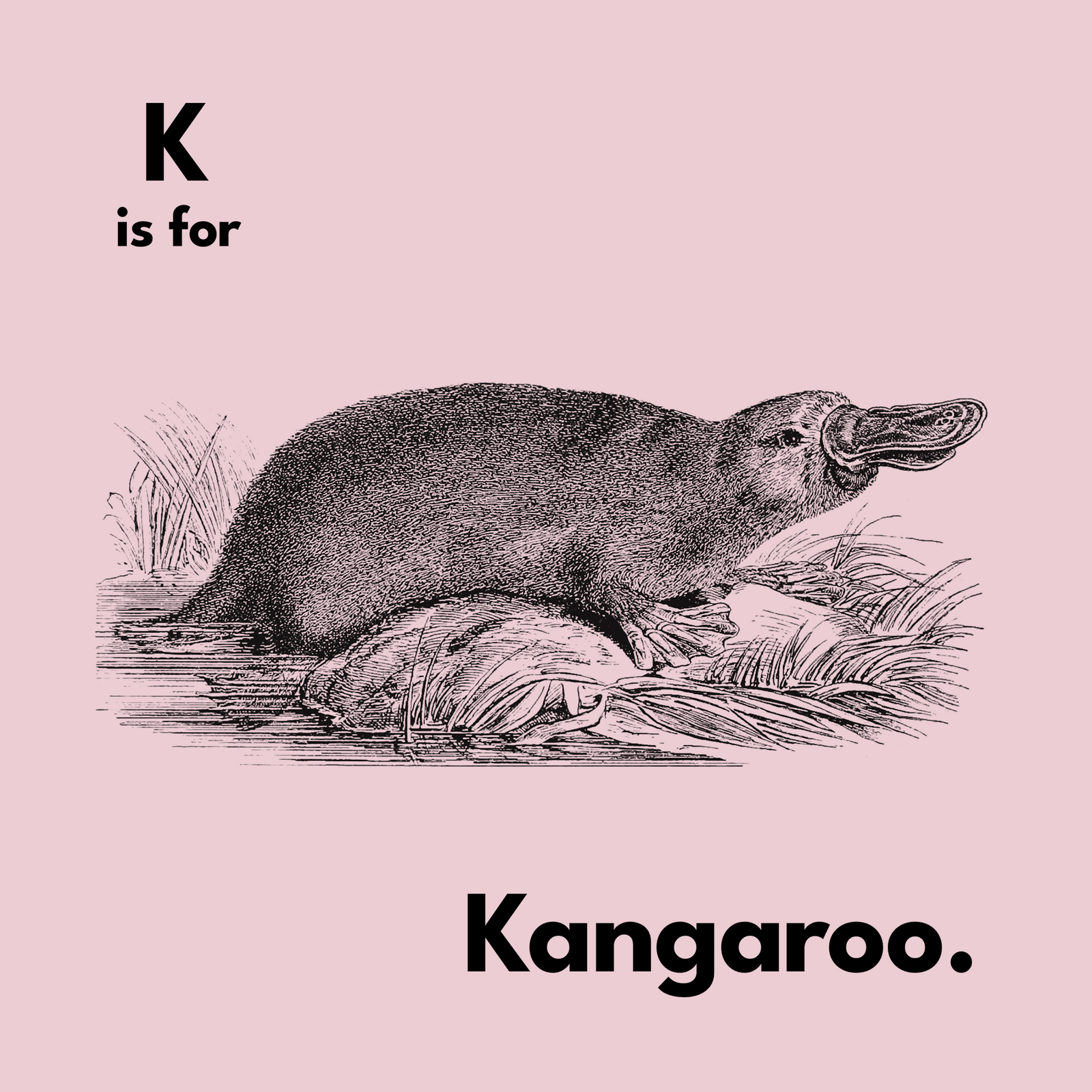 K Is For Kangaroo Tote