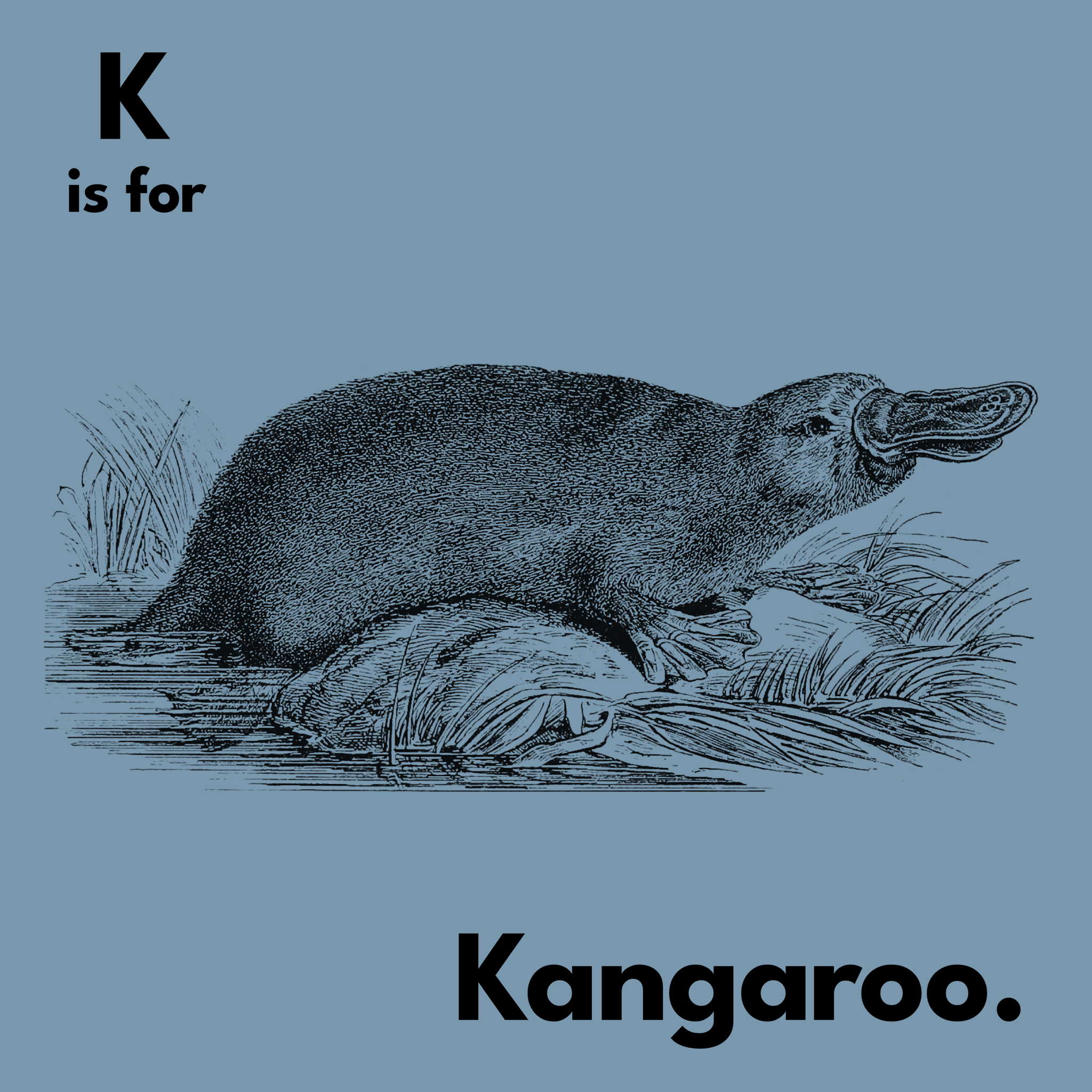 K Is For Kangaroo Tee