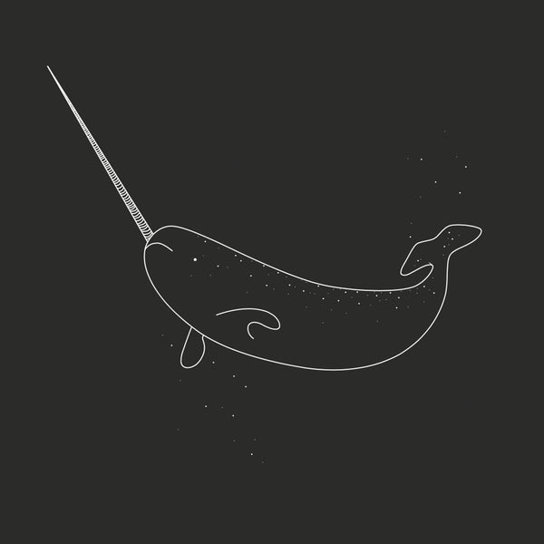 Narwhal Hoodie