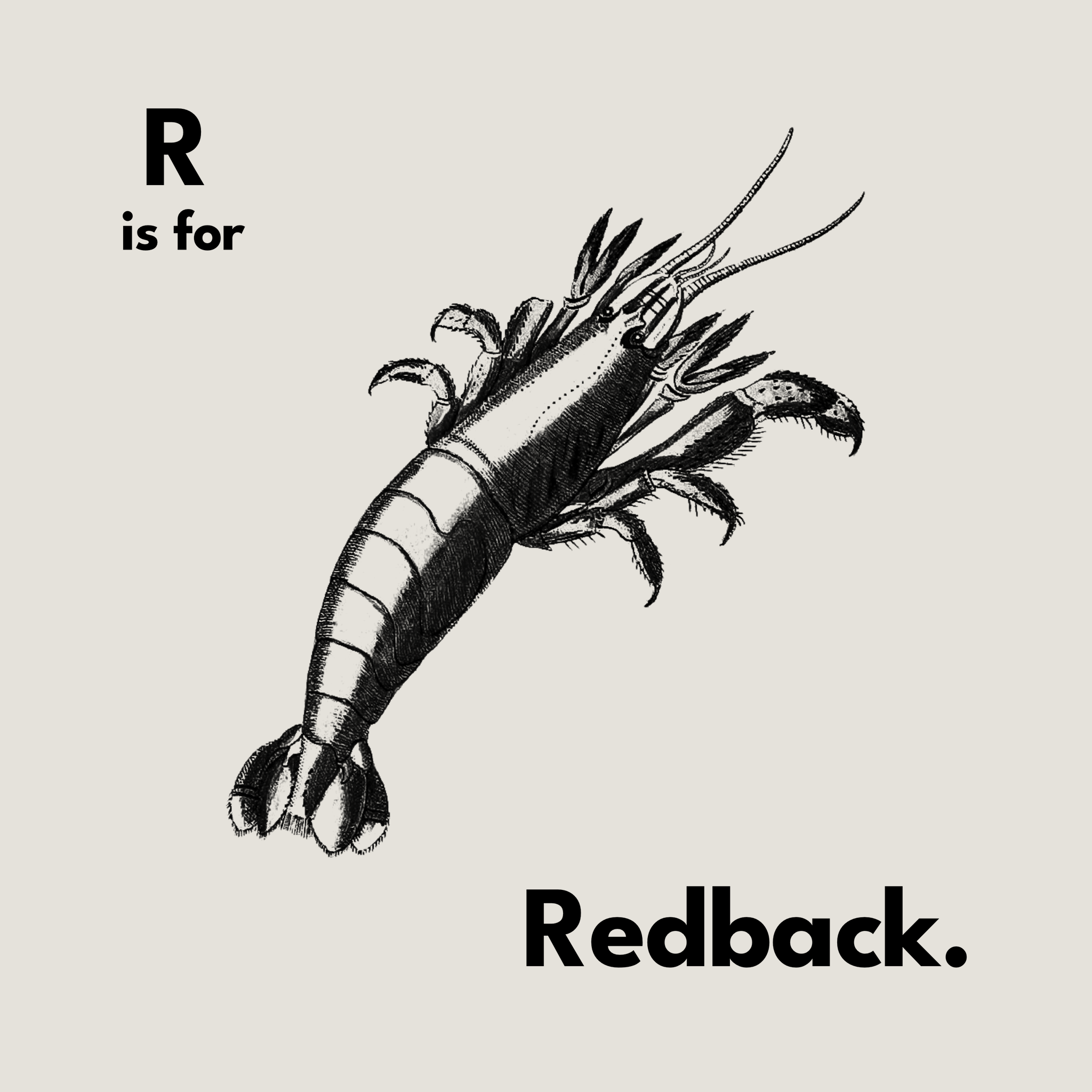 R Is For Redback Tee