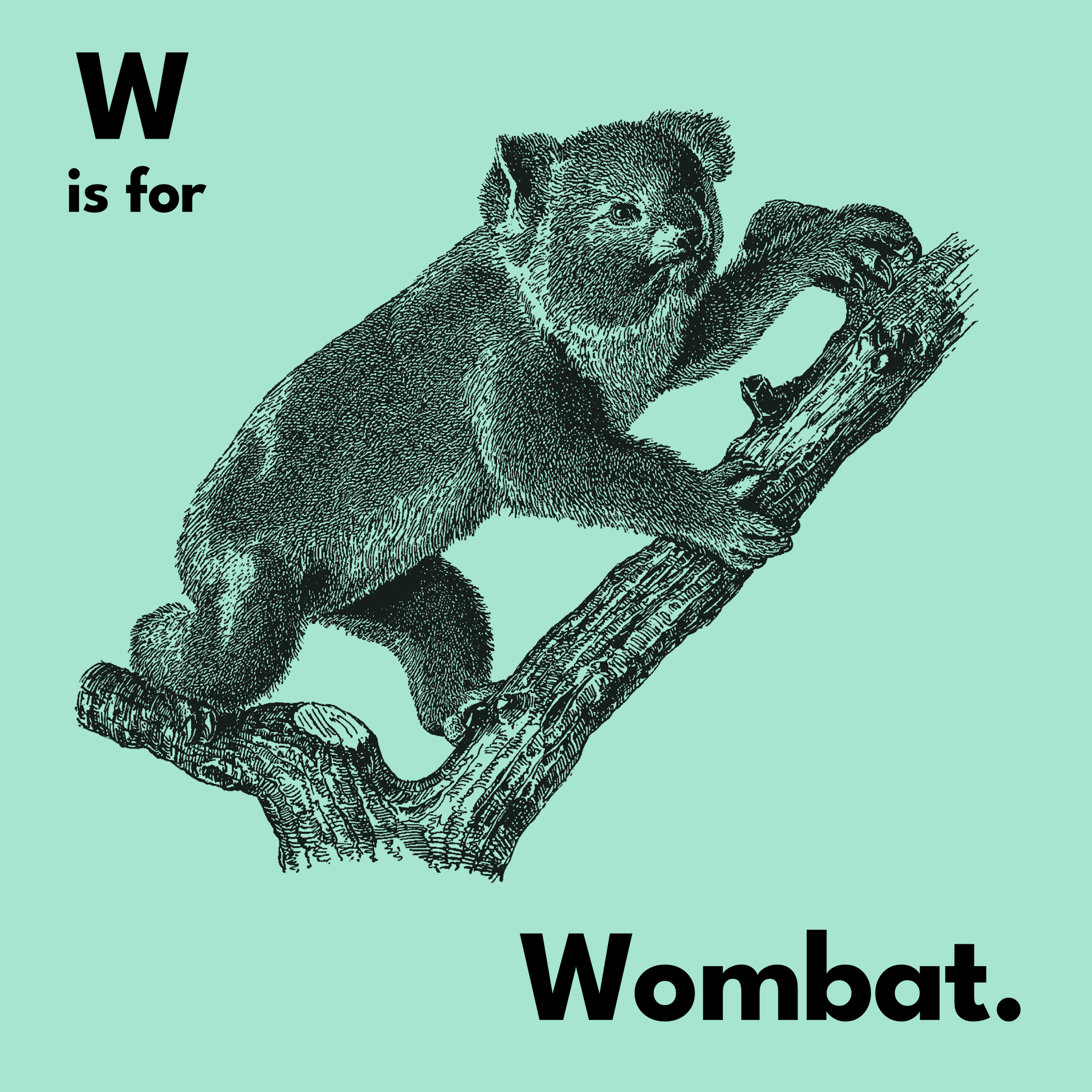 W Is For Wombat Tee