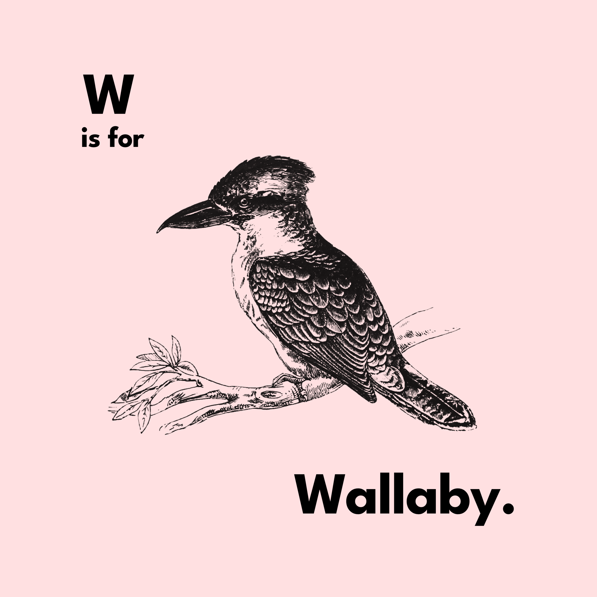 W Is For Wallaby Tee