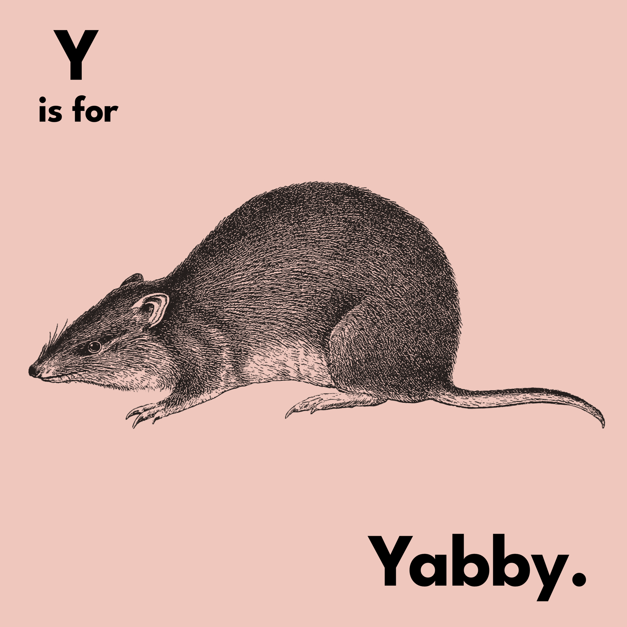 Y Is For Yabby Tee