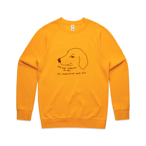 Staring At Your Dog Jumper by Lonely Kids Club. All clothing from our T-shirts to our shorts and hoodies are ethically made, and printed packed and shipped from Sydney.